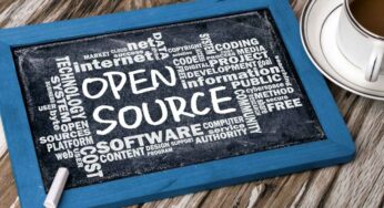 Software: How Do Open-Source Groups Work