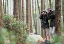 Compare Corbett and Ranthambore for a 5 day Wildlife Photography Trip in November on a 50k Budget Compare Corbett and Ranthambore for a 5 day Wildlife Photography Trip in November on a 50k Budget