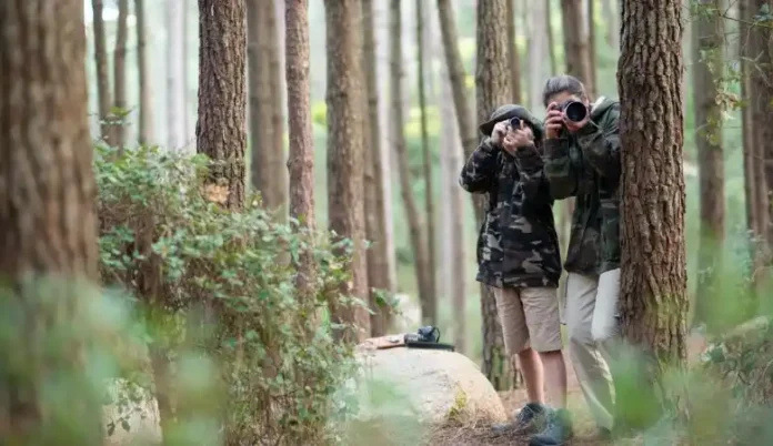 Compare Corbett and Ranthambore for a 5 day Wildlife Photography Trip in November on a 50k Budget Compare Corbett and Ranthambore for a 5 day Wildlife Photography Trip in November on a 50k Budget