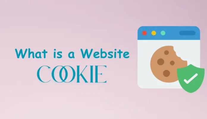 What is a website cookie What is cookie